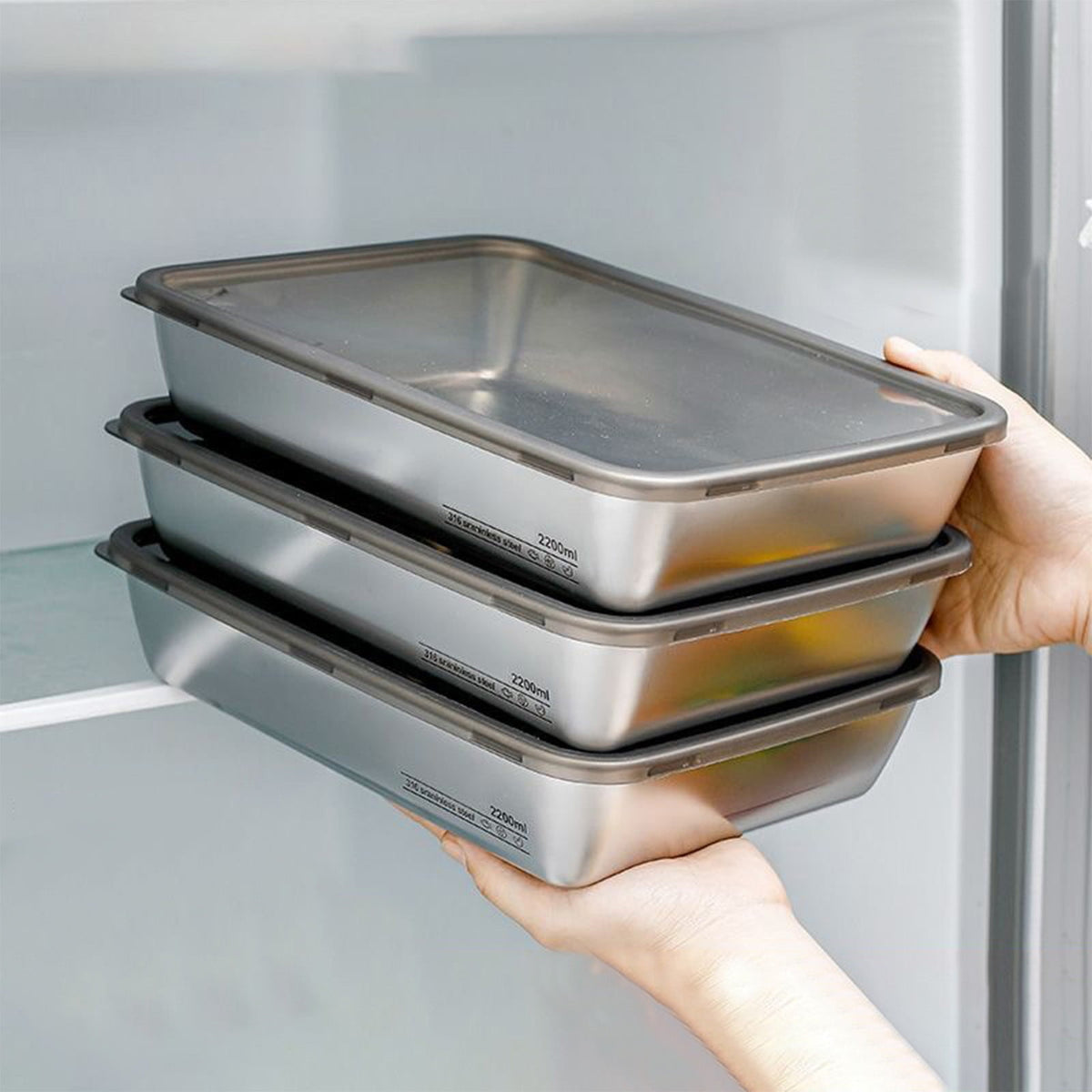 Stainless Steel Fridge Containers (Pack of 3)